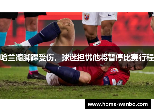 哈兰德脚踝受伤，球迷担忧他将暂停比赛行程
